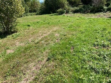 - Hollow Rd, Stewartstown, NH 03576 - photo 4