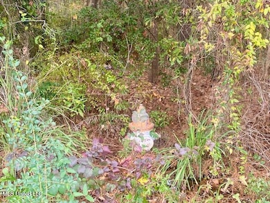 0 Llewellyn Ave, McComb, MS 39648 - photo 5