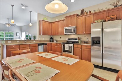 30303 Tokara Terrace, Mount Dora, FL 32757 - photo 7