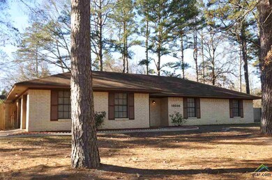 15598 Nell Lynn Ln, Tyler, TX 75707 - photo 2