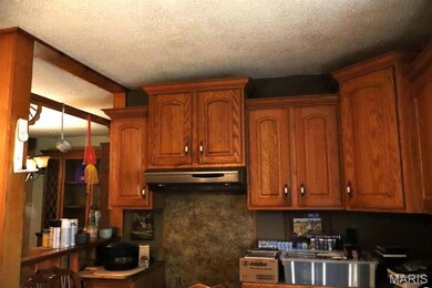 1309 Ray St, Dexter, MO 63841 - photo 4