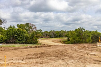 210 Jupiter Trail, Weatherford, TX 76088 - photo 5