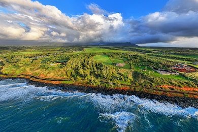 0 Kapoli St unit 726018, Kealia, HI 96751 - photo 5