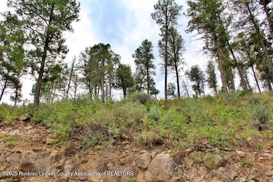 131 Worcester Dr, Ruidoso, NM 88345 - photo 5