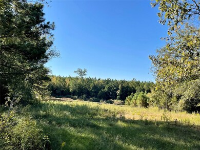 View of the pond from the cleared home site