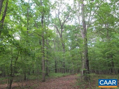 200 ac Buck Island Rd, Scottsville, VA 22902 - photo 4