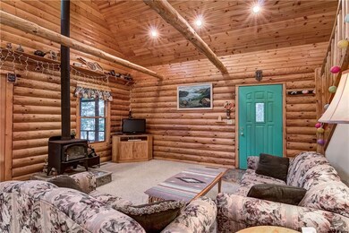 N1077 Deer Head Point, Chetek, WI 54728 - photo 7