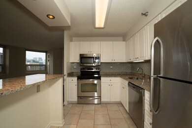 750 N Rush St unit 3203, Chicago, IL 60611 - photo 2