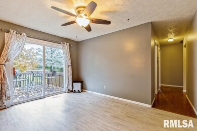 4106 Lamphere Ct, Davenport, IA 52806 - photo 7