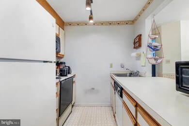 1025 N Madison St unit 101, Wilmington, DE 19801 - photo 6