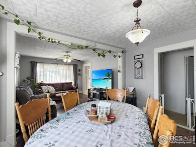 309 N Logan Ave, Fleming, CO 80728 - photo 5