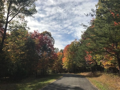 57 Deer Point Dr, Dunlap, TN 37327 - photo 4