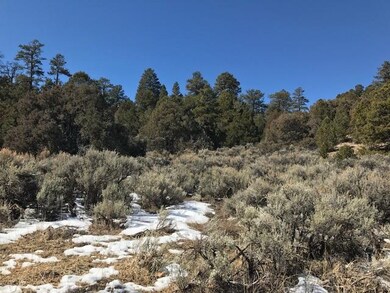TBD Nm State Rd 115, Canjilon, NM 87518 - photo 3