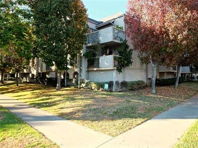 Mature Landscaping
