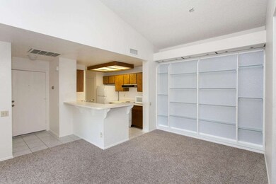 Elm_Tempe-16