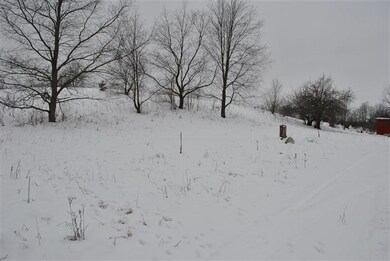 869 230th Ave, Reed City, MI 49677 - photo 2