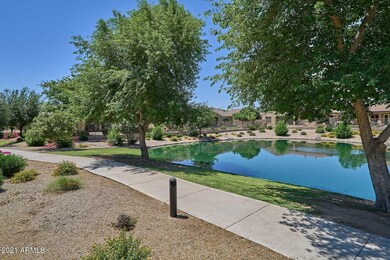 Backyard-Walking Path View