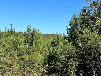 - Airport Ln, Crosby, MS 39633 - photo 5