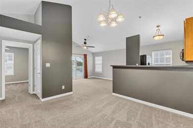 Soaring vaulted ceilings, plant shelf, fresh paint