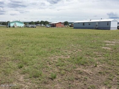 Lot 16 Hillcrest Subsivision, Springerville, AZ 85938 - photo 5