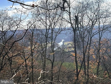 139 Bluffs On the Potomac, Romney, WV 26757 - photo 4