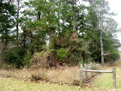 26652 Joseph, Hockley, TX 77447 - photo 5