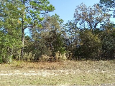 8833 N Spartan Dr, Citrus Springs, FL 34433 - photo 4