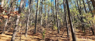 Grand Brooks Rd, Spotsylvania, VA 22551 - photo 2