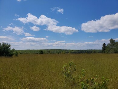 20210803_131345 (1)
