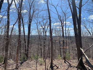 89 Crystal Lake Rd unit T7, Ellington, CT 06029 - photo 4