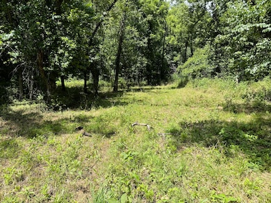 000 Wilderness Way, Anderson West Township, MO 64831 - photo 7