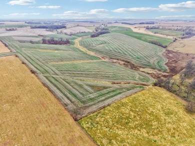 0 County Hwy E, Linden, WI 53565 - photo 5