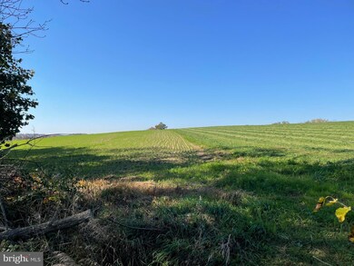 537 Dreibelbis Mill Rd, Shoemakersville, PA 19555 - photo 4