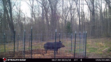 unlisted-address, Winslow, AR 72959 - photo 3