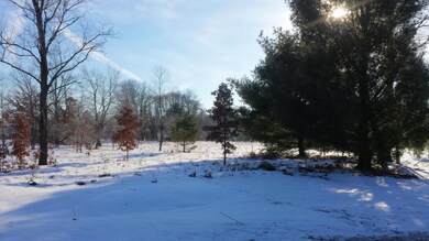 20150128_100507 (2)