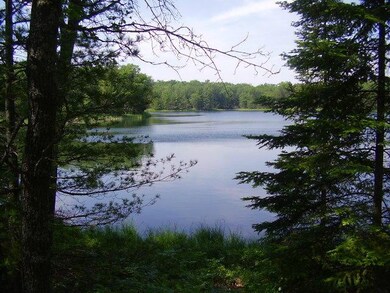 View # 4 Cranberry Lake