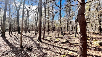 Lot 18.3 Treetops Trail, Mamakating, NY 12721 - photo 5