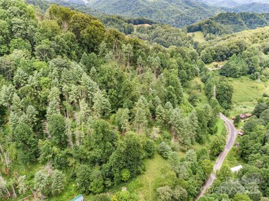 0000 Bee Log Rd, Burnsville, NC 28714 - photo 4