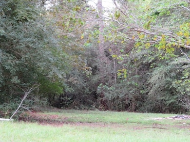 28211 Hickory Hill Dr, Hockley, TX 77447 - photo 5