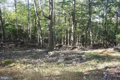 0 Crystal Falls Dr unit MDWA179600, Smithsburg, MD 21783 - photo 7