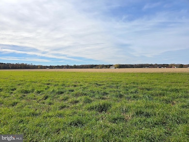 0 Richardson Rd, 14, Willards, MD 21874 - photo 7