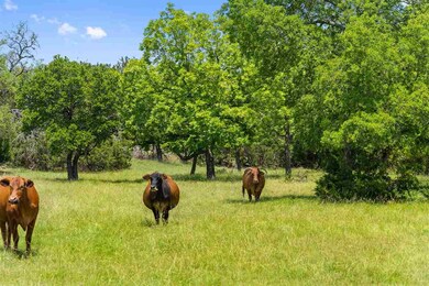 12684 S State Highway 16, Fredericksburg, TX 78624 - photo 2