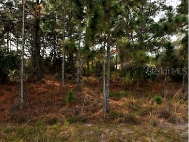 Lot 21 Bathfeld Rd, North Port, FL 34291 - photo 4