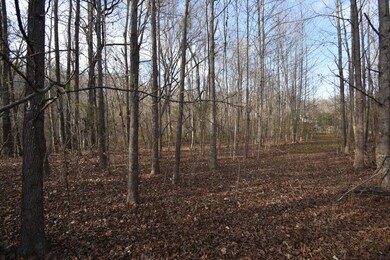 824 Buffalo Bottom Rd, Linden, TN 37096 - photo 4