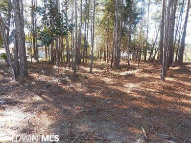 100 x 279 lot. Partially cleared.