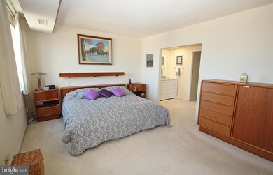 5501 Seminary Rd unit 2504S, Baileys Crossroads, VA 22041 - photo 3