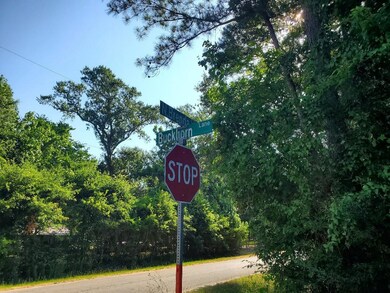 806 Buckhorn Ln unit 1, Magnolia, TX 77354 - photo 3