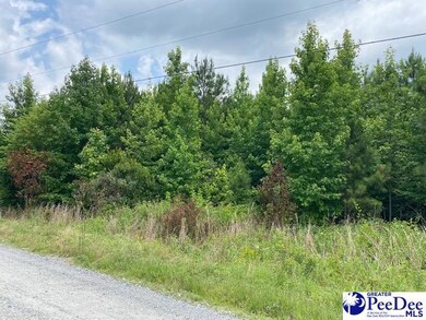 Lot 1-C Daniels Ln, Bennettsville, SC 29512 - photo 5