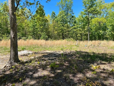 Lot J McCartt Ridge Ln, Sunbright, TN 37872 - photo 4