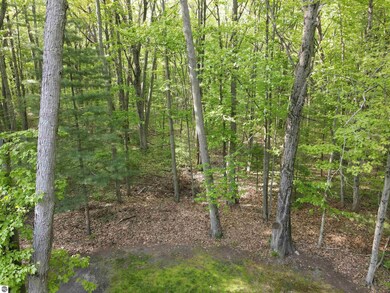 4815 E Michigan Ave, Au Gres, MI 48703 - photo 7